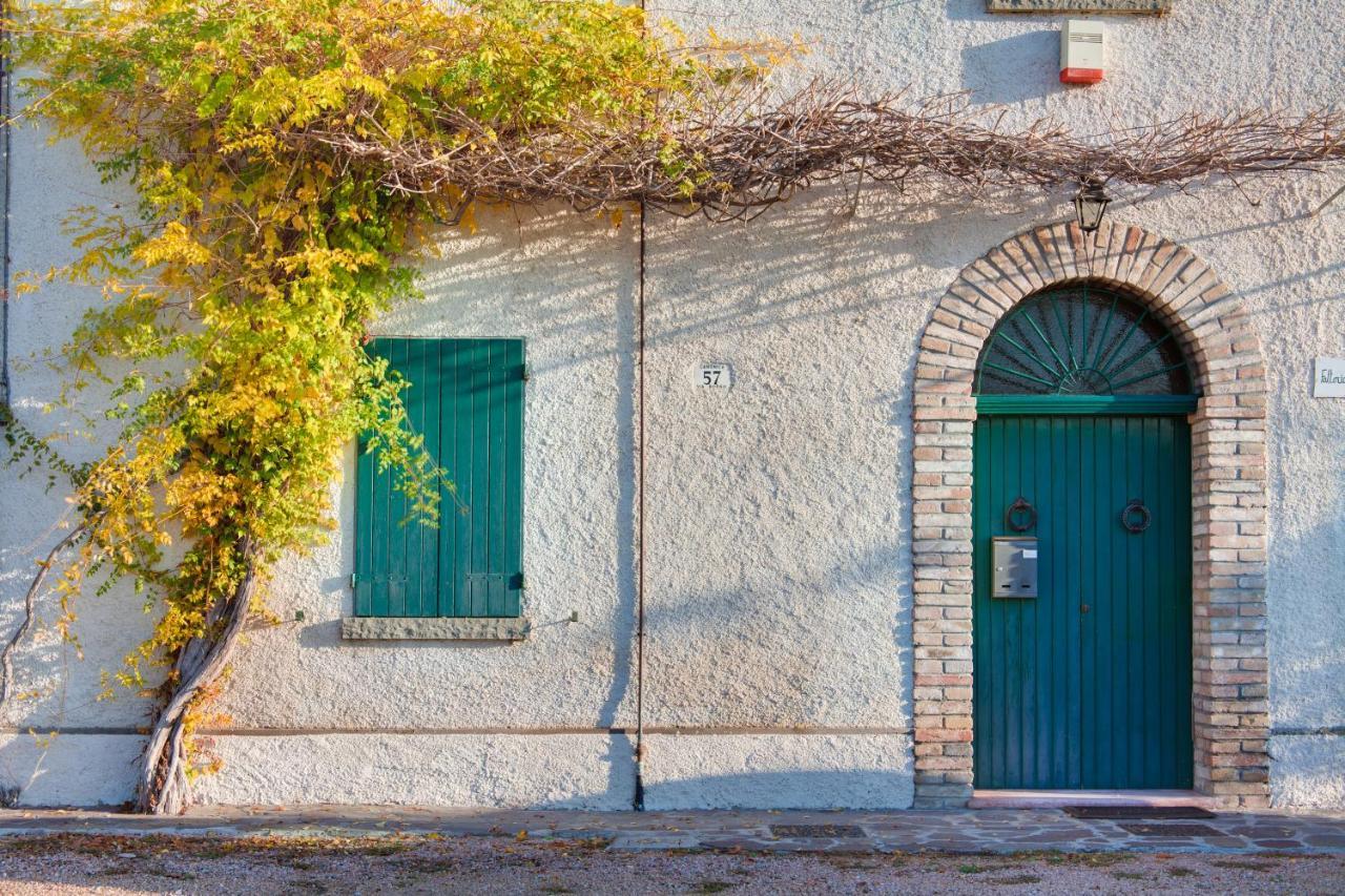 La Fattoria Konuk evi SantʼArcangelo di Romagna Dış mekan fotoğraf
