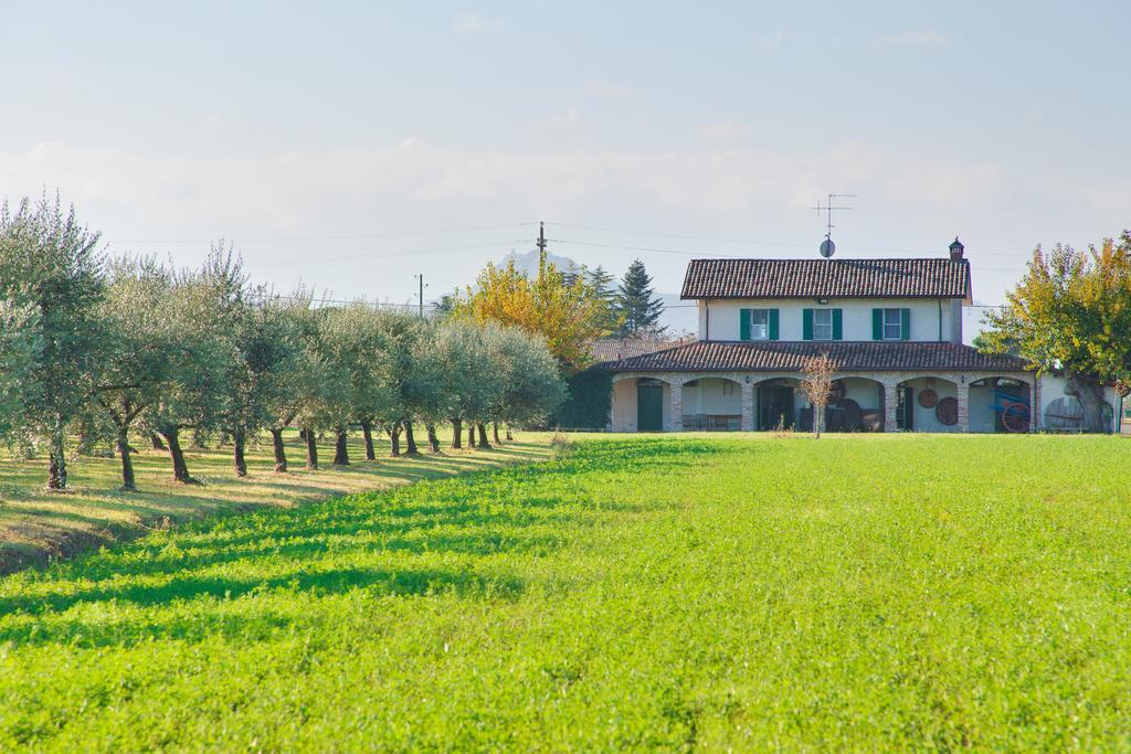 La Fattoria Konuk evi SantʼArcangelo di Romagna Dış mekan fotoğraf
